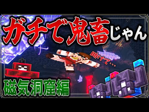 【Minecraft】あまりにも鬼畜すぎる磁気が強い洞窟へと旅立つ。「五大洞窟探査日記」#6【ゆっくり実況】【マイクラ】【マルチプレイ】Alex's Caves