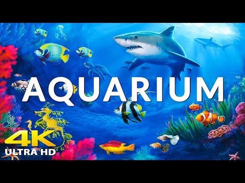 Aquarium 4K VIDEO (ULTRA HD) 🐠 Sea Animals With Relaxing Music - Rare & Colorful Sea Life Video