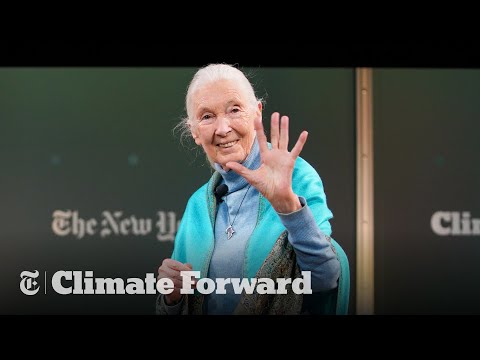 Dr. Jane Goodall | Lessons From a Lifetime Defending Nature