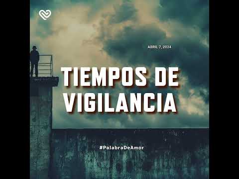 TIEMPOS DE VIGILANCIA