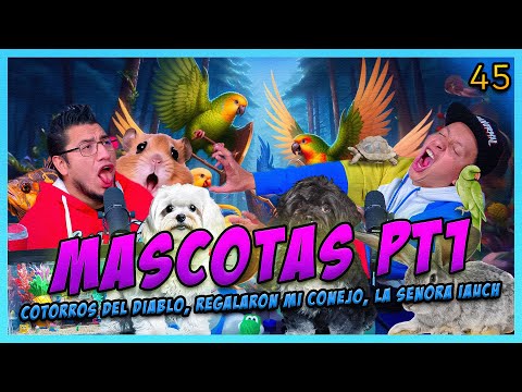 LA PENSIÓN #45 | MASCOTAS PT1 - Pájaros y Hamsters Acz1nos, Regalaron mis animales, Peces del Crew