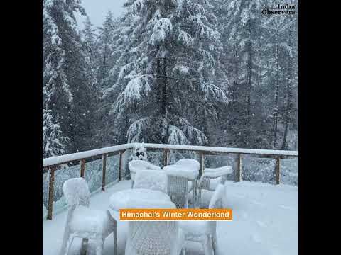 Shimla's Rare December Snowfall Creates a Winter Wonderland