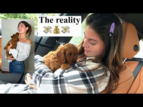 Bringing Home My New Puppy + Our First 2 Weeks Together!