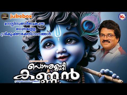 മനസ്സിനുണർവേകുന്ന മധുരമുള്ള ശ്രീകൃഷ്ണഭക്തിഗാനങ്ങൾ | Sree krishna Songs Malayalam | Devotional Songs