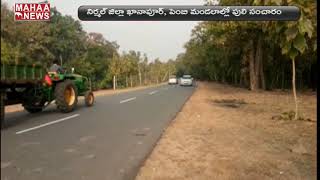 Tigers Wandering In Nirmal District Khanapur And Pembi Mandal  | Mahaa News