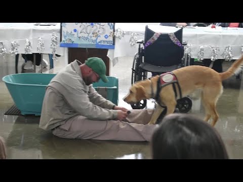 Service dogs trained in NC prisons change lives of inmates and recipients