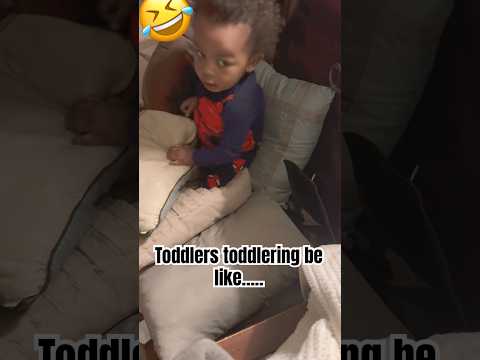 What are you doing?  #toddlers #relatable