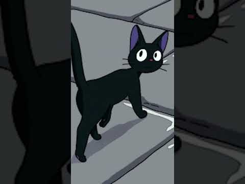 Black Cat Lo-fi 🎶😺