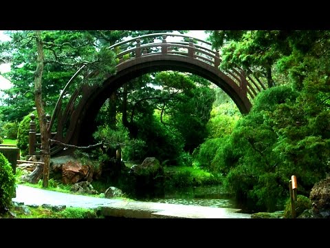 Zen Garden Rain- Relaxation, Peace & Meditation (no music, just rain)