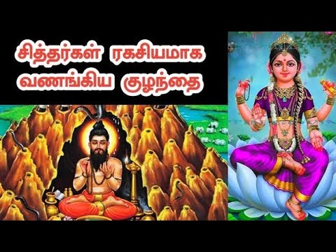 சித்தர்கள் வழிபடும் மர்ம குழந்தை வாழை|Mysterious behind Siddhars !|Krishnaraaj informative.