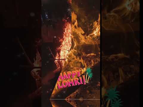 Happy Lohri 🎉🎊lohri status video #lohri#lohricelebrations#status#shortvideo#love#festival#shorts