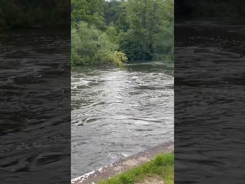 Cookham Lock #Cookham #england #riverthames #summertime #picnicspot