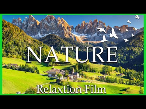 Beautiful Nature Relaxing - Piano And Cello Music To Relax 🍀 Stress Relief - Soft Piano