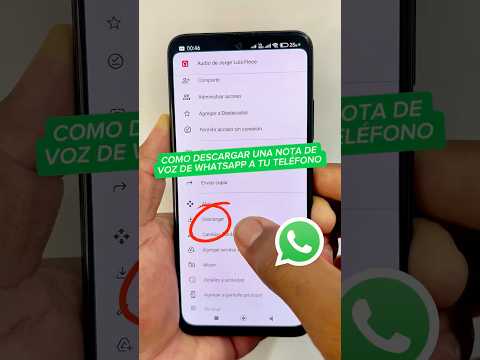 Como descarga a tu teléfono una nota de voz que te enviaron en WhatsApp