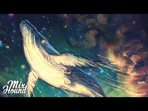 Chillstep | Nomyn - Perception