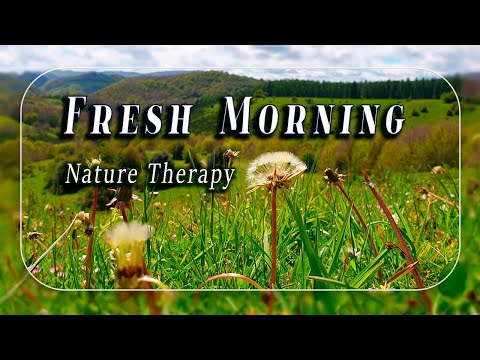 Healing Frequency Nature Therapy 🌳🌞 Begin Your Day with POSITIVE MORNING VIBRATIONS🌲⛰️ Meadow Sounds