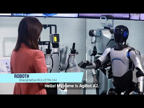 Inside the ''Training Center" of humanoid robots in Shanghai, China