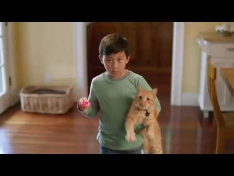 The 4 Best and Funny Halos TV Commercial Till 2016