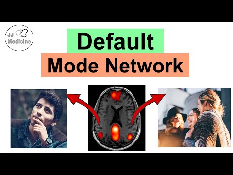 Default Mode Network (of the Brain): Brain Structures, Functions & Associations with Psychopathology