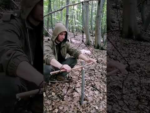 Trap #bushcraft #trap #survival