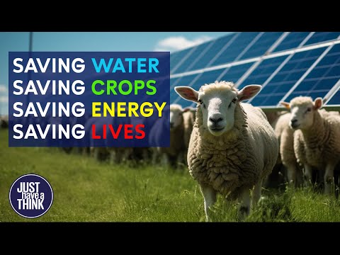 Solar panels above waterways and farms. WIN-WIN!