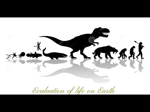 Evolution of LIFE on Earth is Full of Surprises || Speeches N Stories