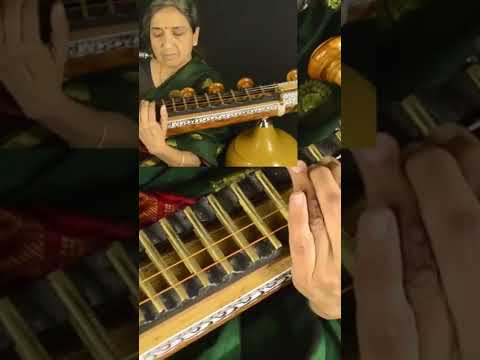 Carnatic Veena : Alankaram - Jampha Thalam (learning mode)