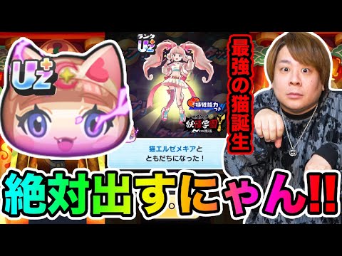 ぷにぷに「猫の日超ニャンボだと!?」UZ＋猫エルゼメキア出るまで超ニャンボガシャ!!【妖怪ウォッチぷにぷに】  Yo-kai Watch    満月&半月  part1737とーまゲーム