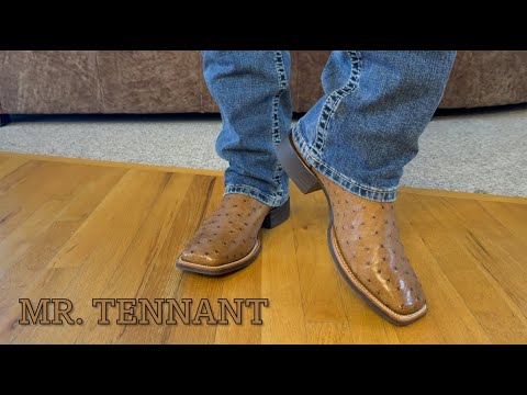 Ariat Quantum Primo Western Boot FQ Ostrich Full Review