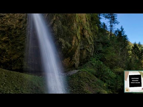 Soothing relaxing music|calming|fast asleep with beautiful nature views 2021