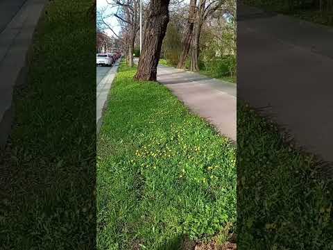 food delivery #city #bike #bikepath