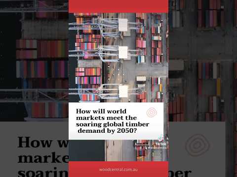 🚨 Timber Crisis: How Climate Change Could Leave Europe Without Wood!#climatechange #europe #wood