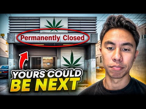 🚨️ 3 Alarming Reasons Why Cannabis Dispensaries Fail