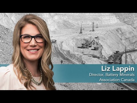 Liz Lappin on what Canada must do to build a battery industry