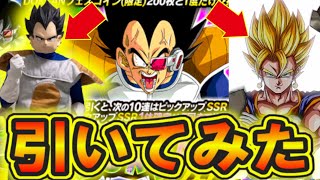 神引き連発！フェス限汚い花火ベジータ狙いでDOKKANフェスガシャってみた【ドッカンバトル】