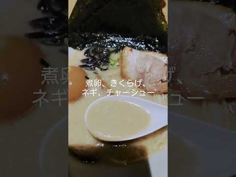 【飯テロ】一風堂の特製白丸　 #飯テロ #ラーメン #一風堂