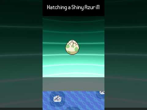 Hatching a Shiny Azurill #pokemmo #pokemon