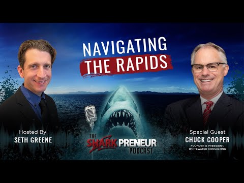 1103: Navigating the Rapids: Guiding Businesses Through Turbulent Waters