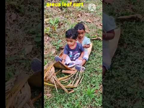 twins,twins life,cute babies #kidsplay #villagelife #arecanut #leaf #cart #play #shortsvideo