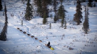 Inside the 51st Iditarod: The meaning behind the ‘Last Great Race on Earth’