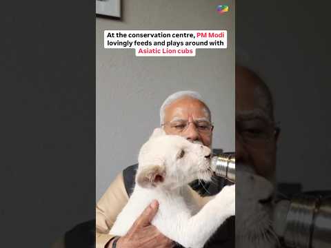 At the conservation centre, PM Modi lovingly feeds and plays around with Asiatic Lion cubs. #Vantara