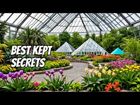 Finally, Muttart Conservatory's BEST KEPT SECRETS Revealed! #muttartconservatory