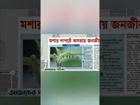 আজকের পত্রিকা #prothomalonews #newsheadlines #news