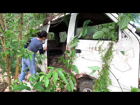 Restore the old car in the forest for many years no one knows