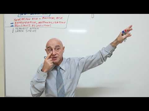 International Finance - Lecture 24