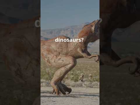 Evolution in 30 seconds  #shorts #viralvideo