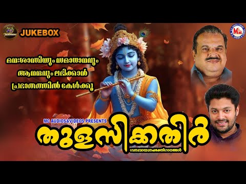 മനഃശാന്തിയും സമാധാനവും ആനന്ദവും ലഭിക്കാൻ പ്രഭാതത്തിൽ കേൾക്കൂ | Sree krishna Songs Malayalam