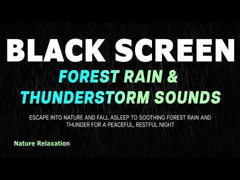 Relaxing Forest Rain & Thunderstorm | Black Screen Sleep Sounds for Calm Nights