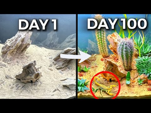 Simulating a Desert for 100 Days