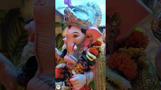 Ganpati Bappa Morya🌷🌷 #song #ganpatibappa #ganpati #ganpati_bappa_morya #ganpatibappamorya_ #ganpati